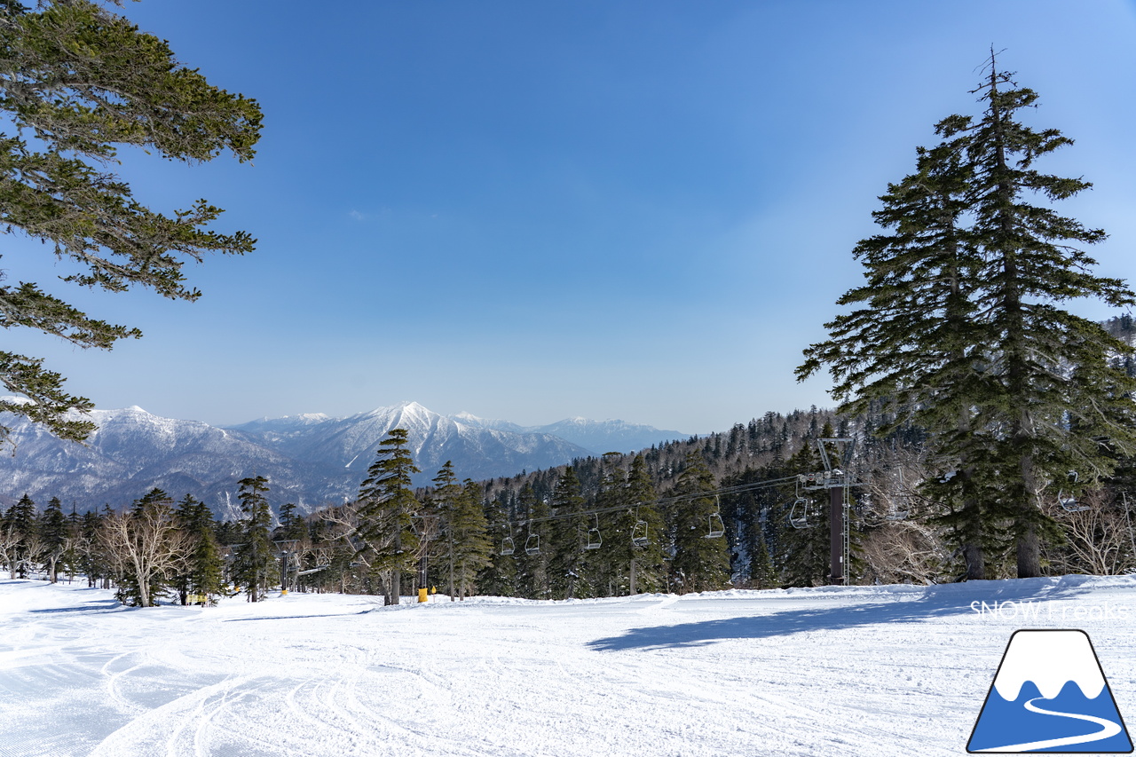大雪山層雲峡・黒岳ロープウェイスキー場｜只今の積雪 360cm！『神々の遊ぶ庭』に降り積もる雪は、やはり別物でした(^^)v